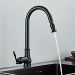 Kitchen Faucet Pull-Out Sprayer High-Arc Brass Construction