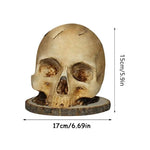 Knife Holder Gothic Skull Design Countertop Organizer