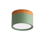 LED Ceiling Light Dimmable Aluminum Nordic Design