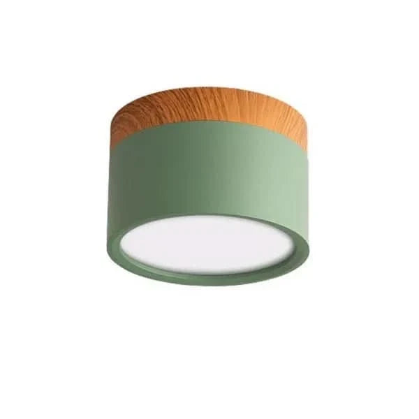 LED Ceiling Light Dimmable Aluminum Nordic Design