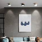 LED Ceiling Light Dimmable Aluminum Nordic Design