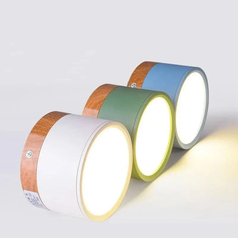 LED Ceiling Light Dimmable Aluminum Nordic Design