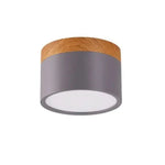 LED Ceiling Light Dimmable Aluminum Nordic Design