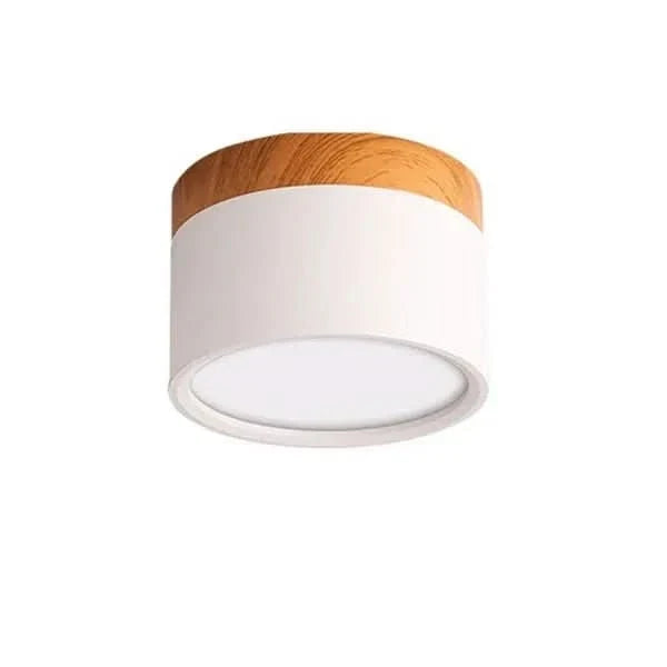LED Ceiling Light Dimmable Aluminum Nordic Design
