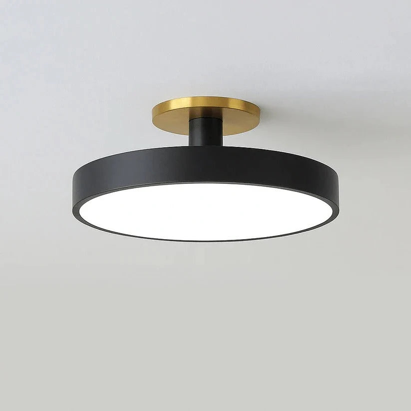 LED Ceiling Light Flush-Mount Warm White Six Colors