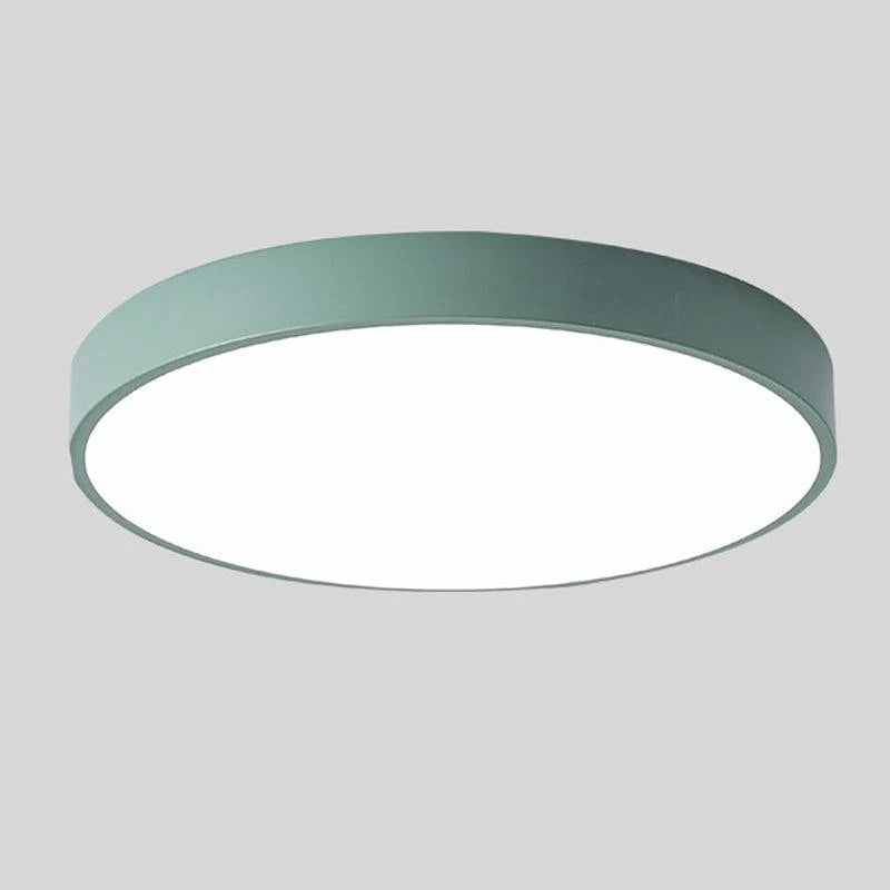 LED Ceiling Light Macaron Shape With Wood Accent