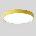LED Ceiling Light Macaron Shape With Wood Accent