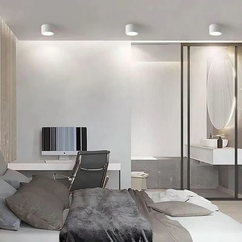 LED Ceiling Light Modern Design Dimmable Color Temperature Options