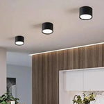 LED Ceiling Light Modern Design Dimmable Color Temperature Options