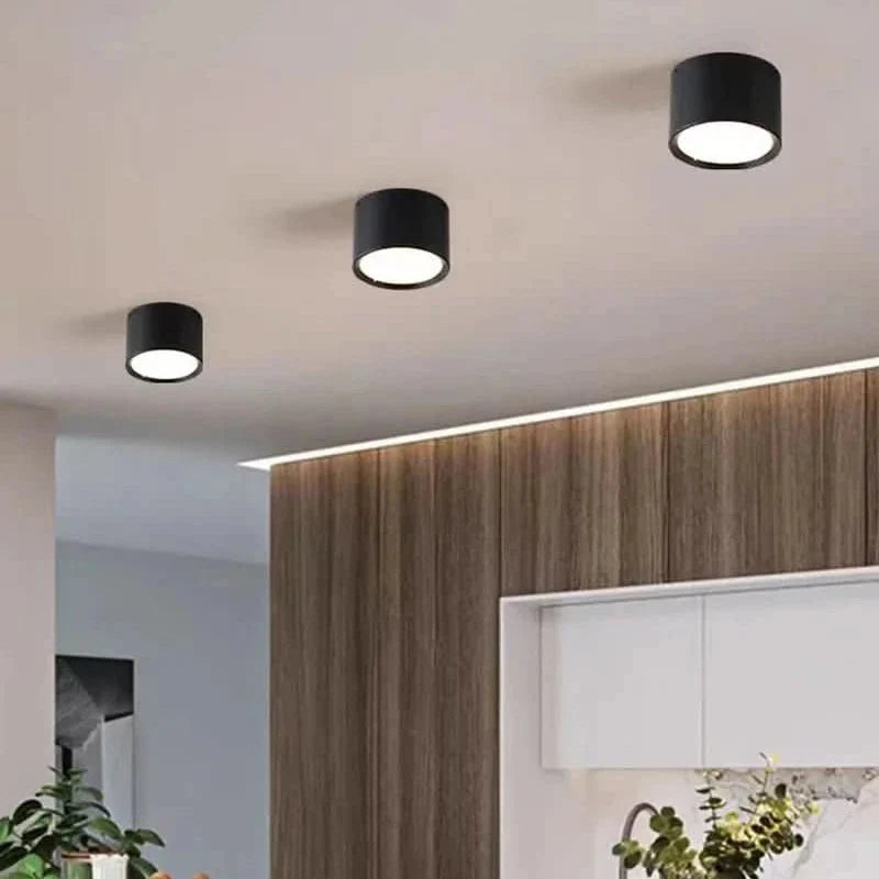 LED Ceiling Light Modern Design Dimmable Color Temperature Options