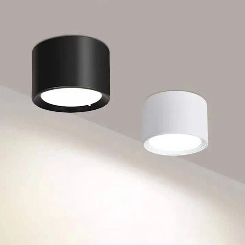 LED Ceiling Light Modern Design Dimmable Color Temperature Options