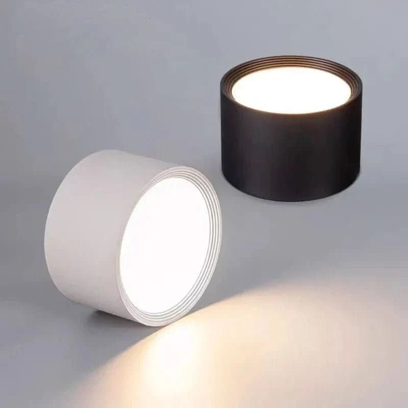 LED Ceiling Light Modern Design Dimmable Color Temperature Options