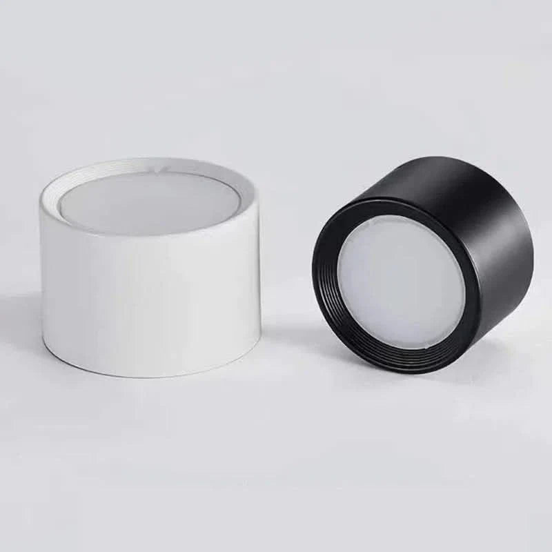 LED Ceiling Light Modern Design Dimmable Color Temperature Options