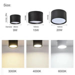LED Ceiling Light Modern Design Dimmable Color Temperature Options