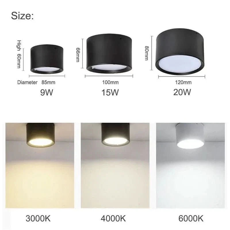 LED Ceiling Light Modern Design Dimmable Color Temperature Options