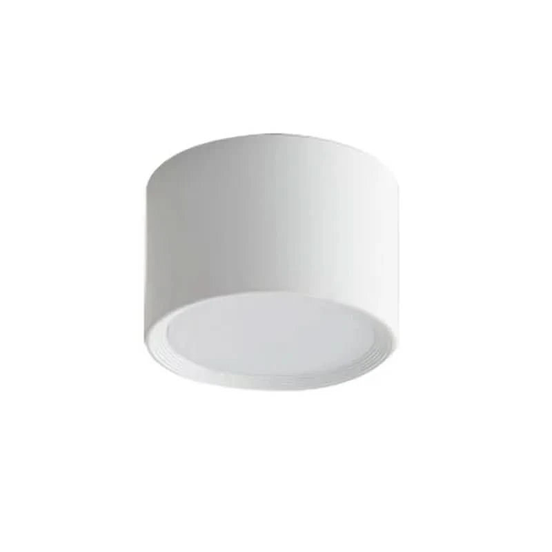 LED Ceiling Light Modern Design Dimmable Color Temperature Options