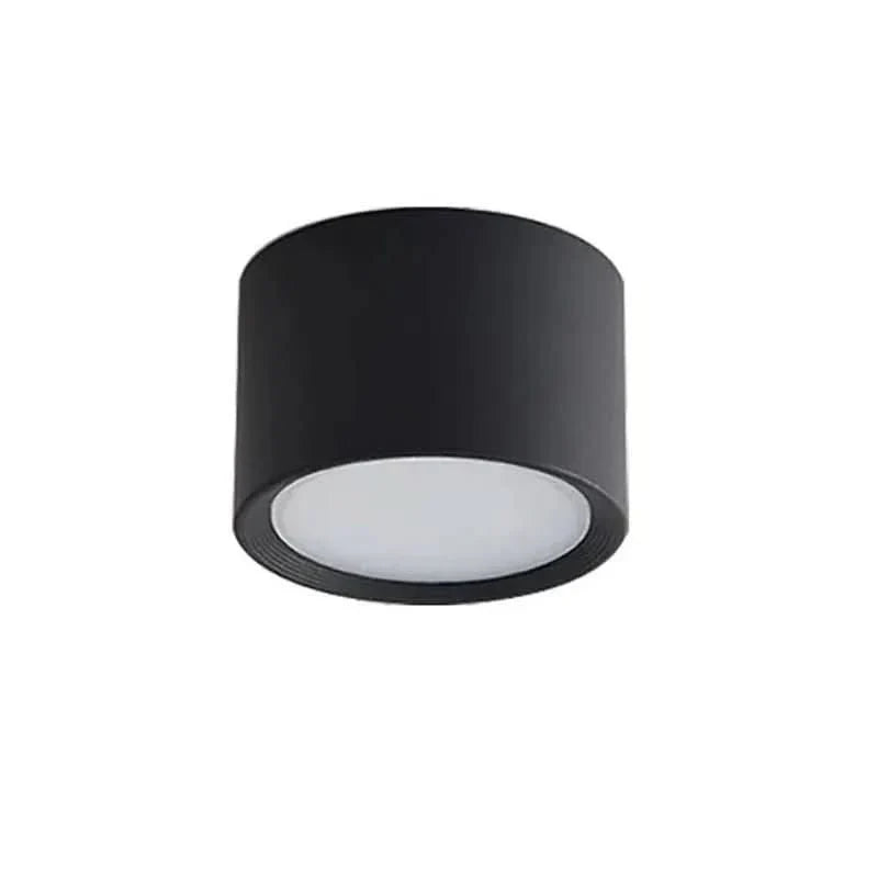 LED Ceiling Light Modern Design Dimmable Color Temperature Options