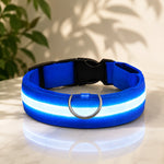 LED Dog Collar USB Rechargeable Three Light Modes Water-Resistant
