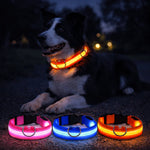 LED Dog Collar USB Rechargeable Three Light Modes Water-Resistant