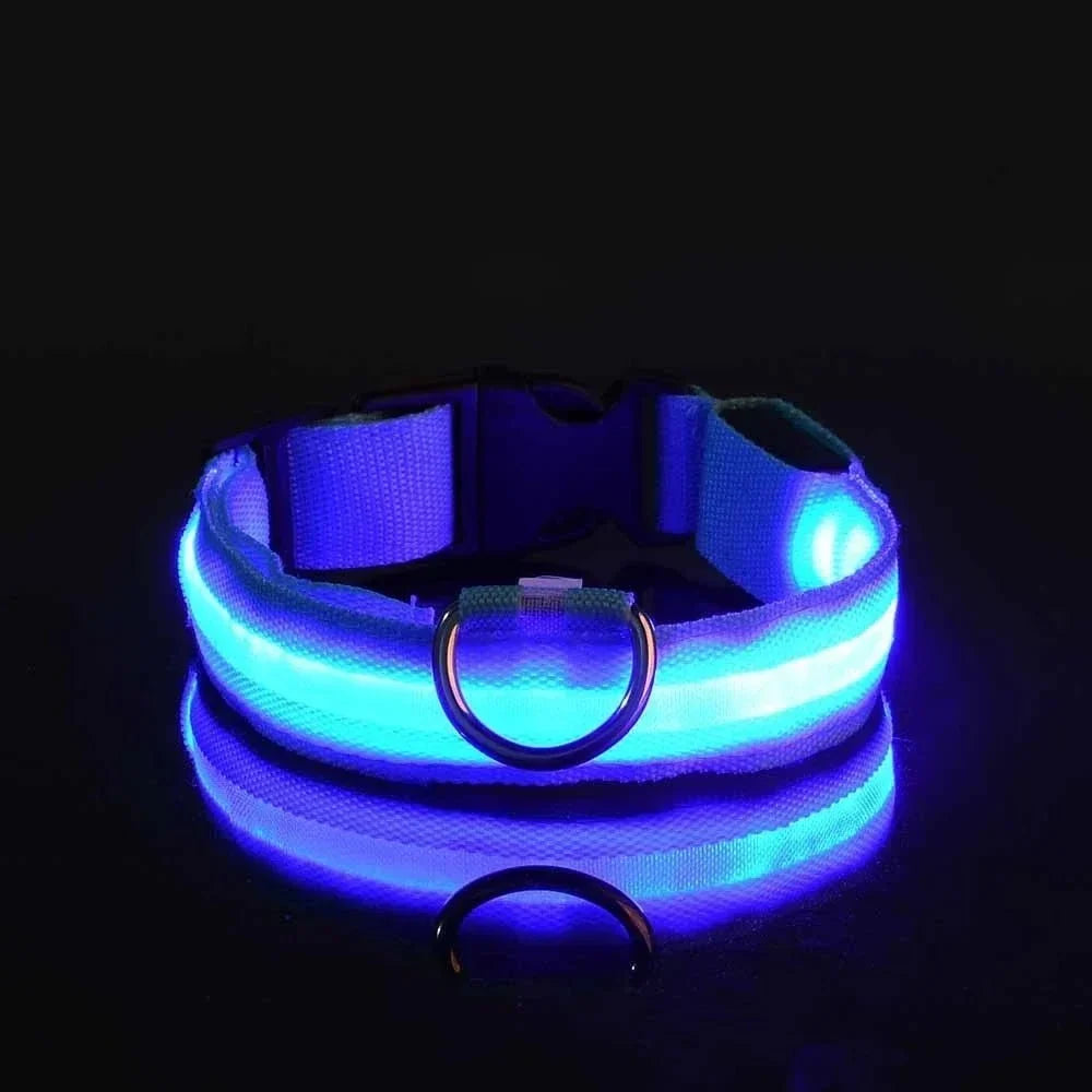 LED Dog Collar USB Rechargeable Three Light Modes Water-Resistant