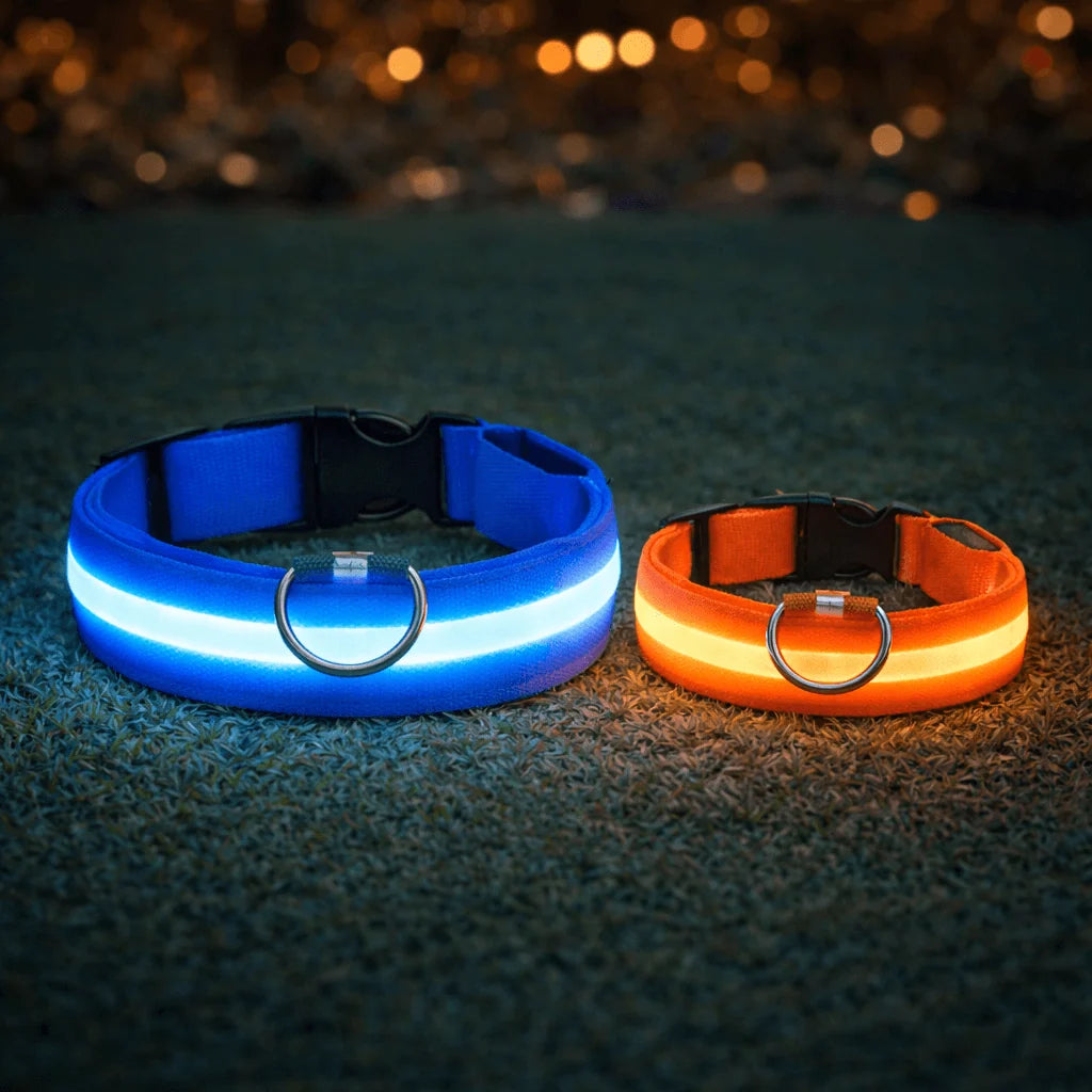LED Dog Collar USB Rechargeable Three Light Modes Water-Resistant