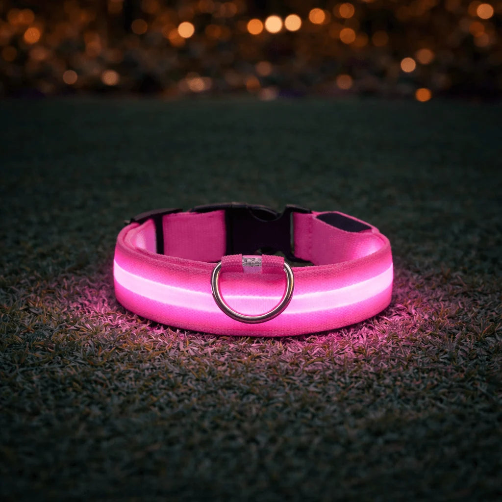 LED Dog Collar USB Rechargeable Three Light Modes Water-Resistant