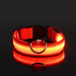 LED Dog Collar USB Rechargeable Three Light Modes Water-Resistant