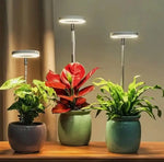 LED Grow Light Full-Spectrum Dimmable USB-Powered With Timer