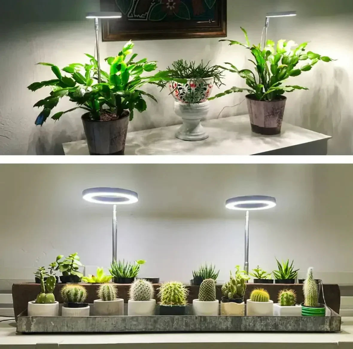 LED Grow Light Full-Spectrum Dimmable USB-Powered With Timer