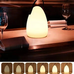 LED Table Lamp Cordless Waterproof Remote & Touch