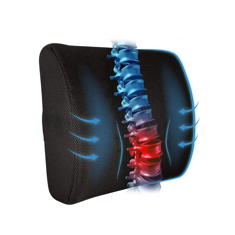 Lumbar Support Pillow Ergonomic Contoured Memory Foam Universal Fit