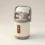 Lunch Box USB Powered & Stainless Steel Liner