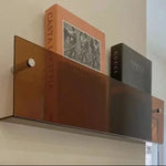 Magazine Holder Acrylic Wall-Mounted Space-Saving Storage