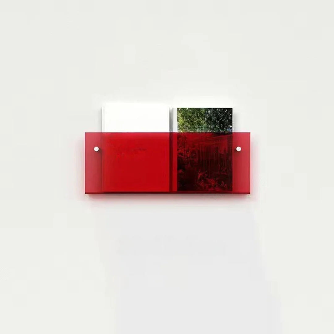 Magazine Shelf Wall-Mounted Clear Acrylic Space-Saving