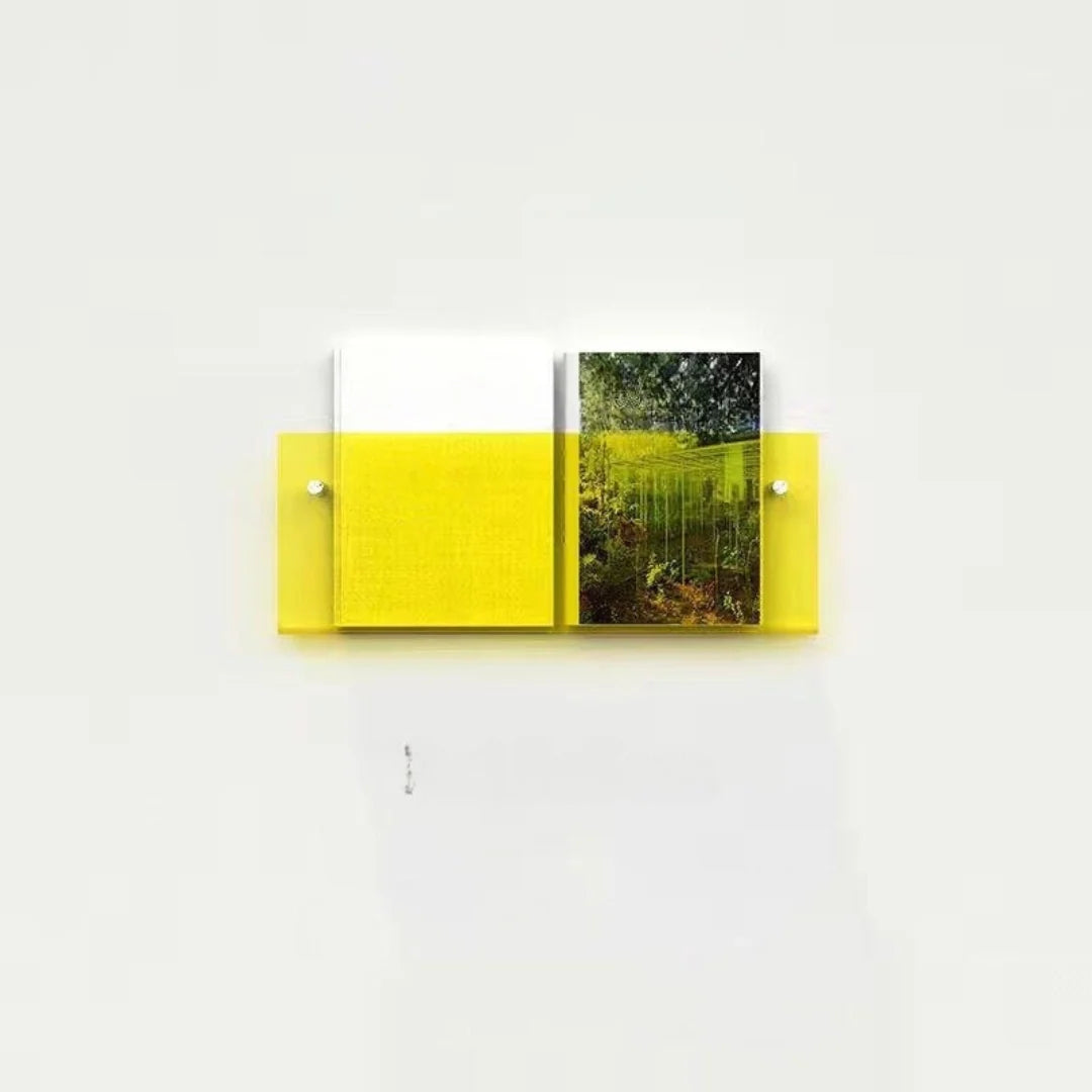 Magazine Shelf Wall-Mounted Clear Acrylic Space-Saving