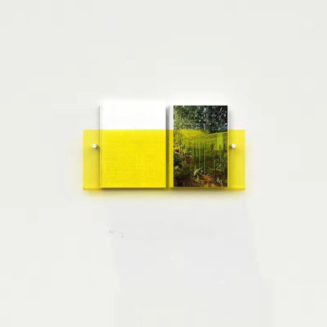 Magazine Shelf Wall-Mounted Clear Acrylic Space-Saving