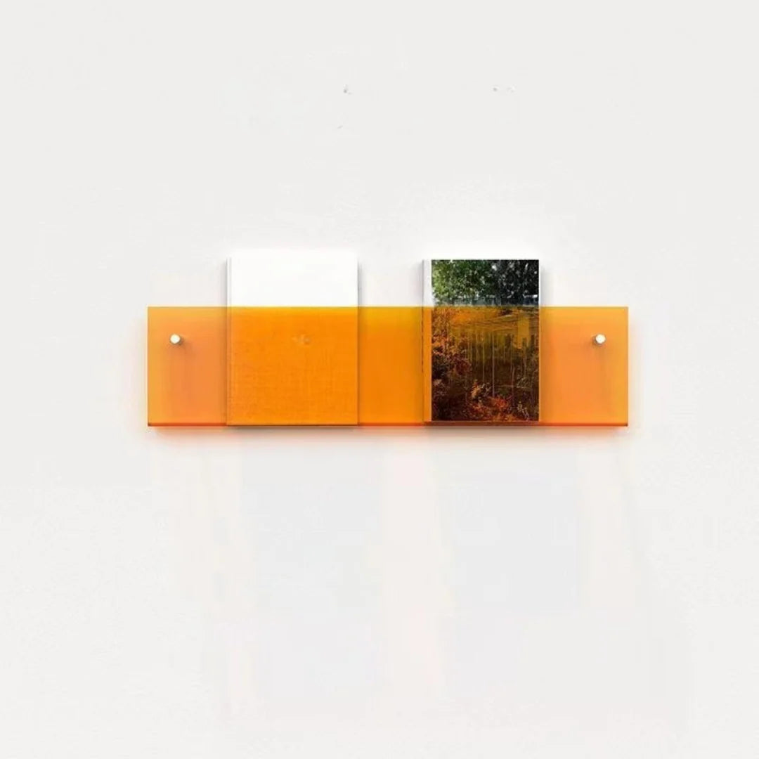 Magazine Shelf Wall-Mounted Clear Acrylic Space-Saving