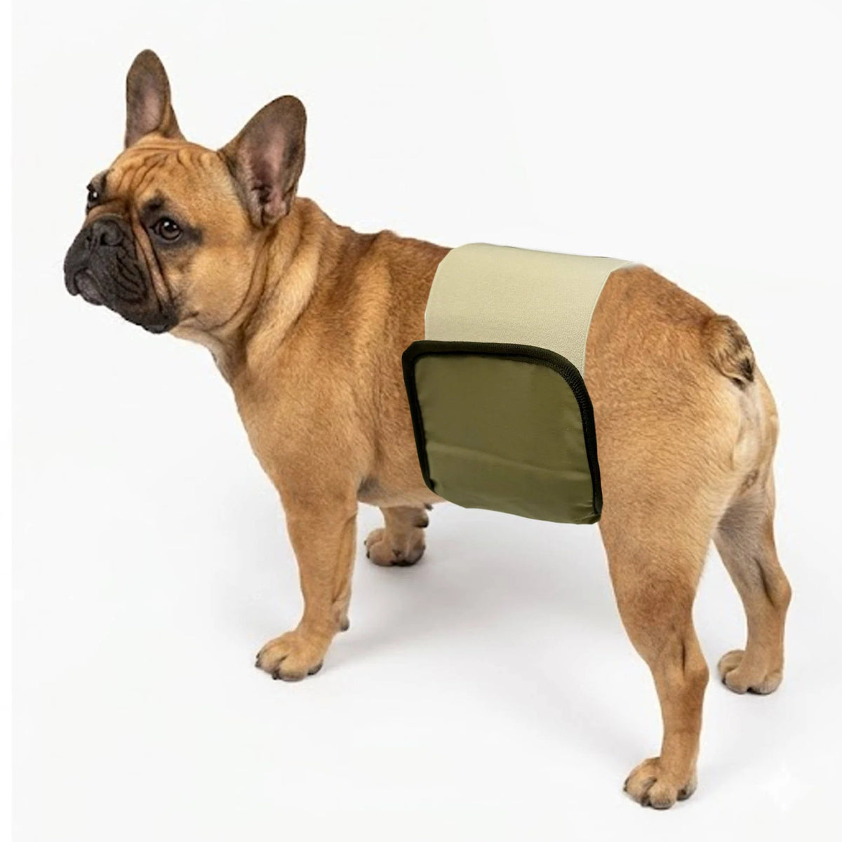 Male Dog Belly Bands Absorbent Washable 3-Pack