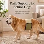 Male Dog Belly Bands Absorbent Washable 3-Pack
