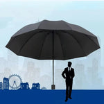Manual Umbrella 130 cm Canopy Windproof & Water-Repellent