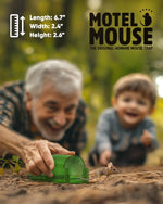 Mouse Trap Live-Catch Transparent Reusable Set of 4
