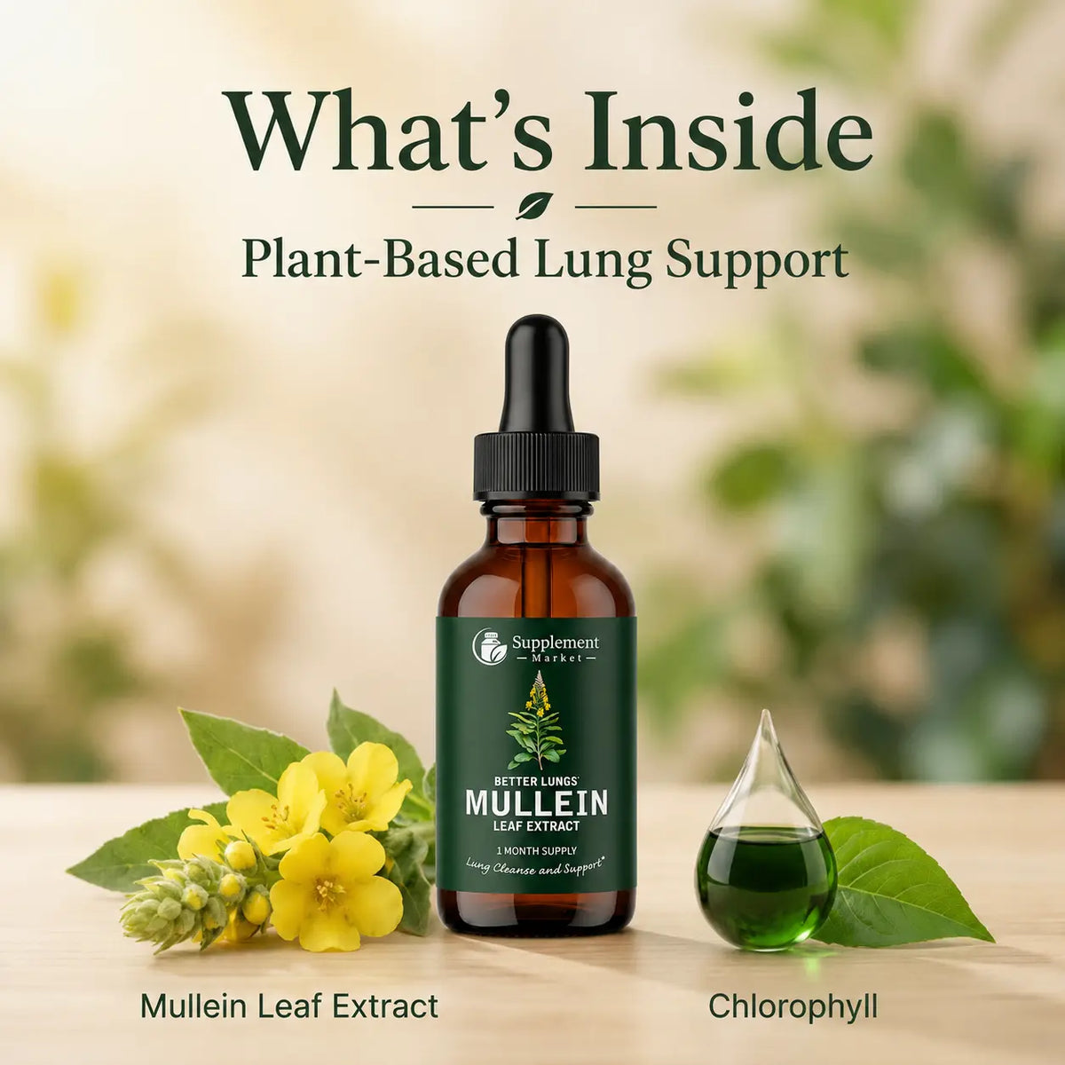 Mullein Supplement Drops Chlorophyll Botanical Blend