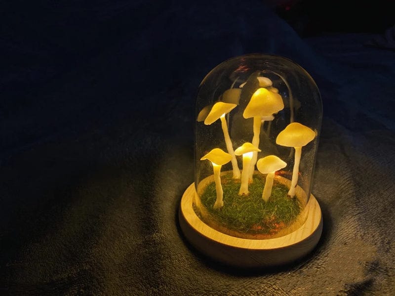 Mushroom Table Lamp Glass Dome Cordless Warm White Light