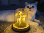 Mushroom Table Lamp Glass Dome Cordless Warm White Light