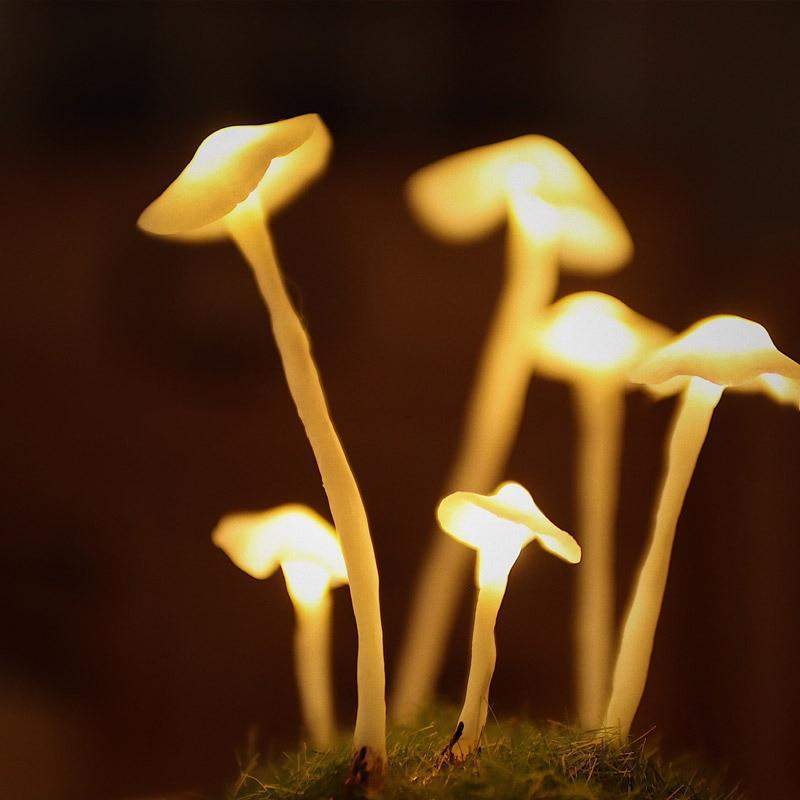Mushroom Table Lamp Glass Dome Cordless Warm White Light