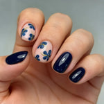 Nail Art Set Holiday Adhesive & Gel Polish