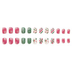 Nail Art Set Premium Gel Holiday Snowflake Designs