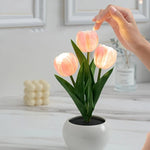 Night Light Rechargeable Touch-Dimmable Ceramic Flowerpot Base