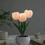 Night Light Rechargeable Touch-Dimmable Ceramic Flowerpot Base