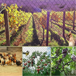Orchard Netting UV-Resistant Tear-Resistant Bird & Deer Protection
